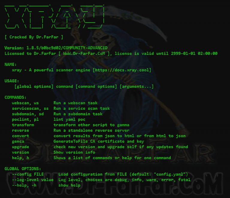 xRay Web Vulnerability Scanner Advanced